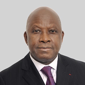 Amadou R. Raimi is Chairman